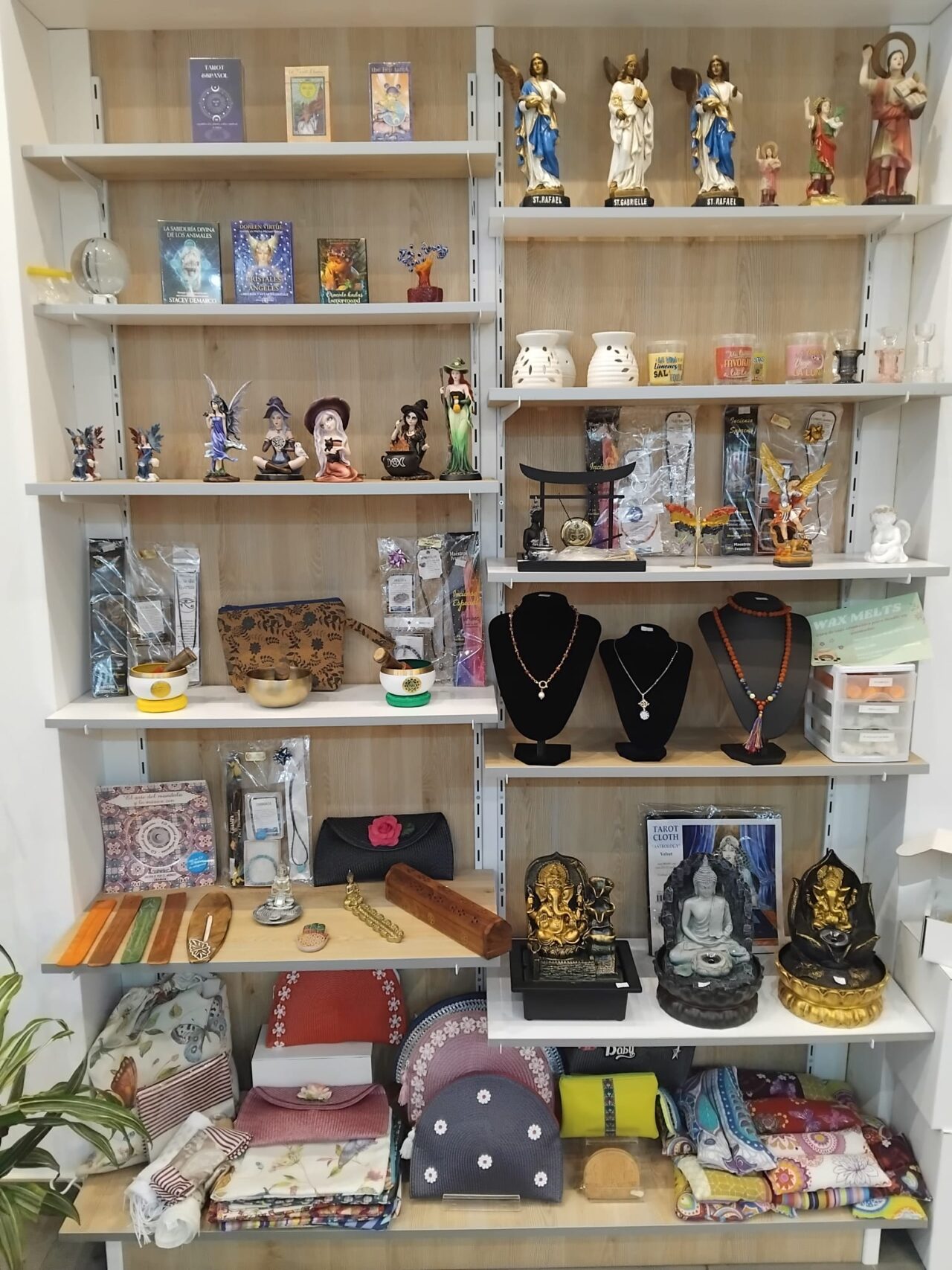 WhatsApp_Image_2026-02-18_at_22.03.52_(1)